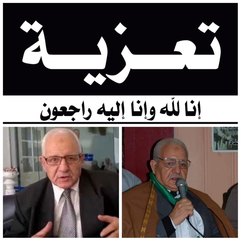 235033586 5815736031833544 7191568512428199281 n