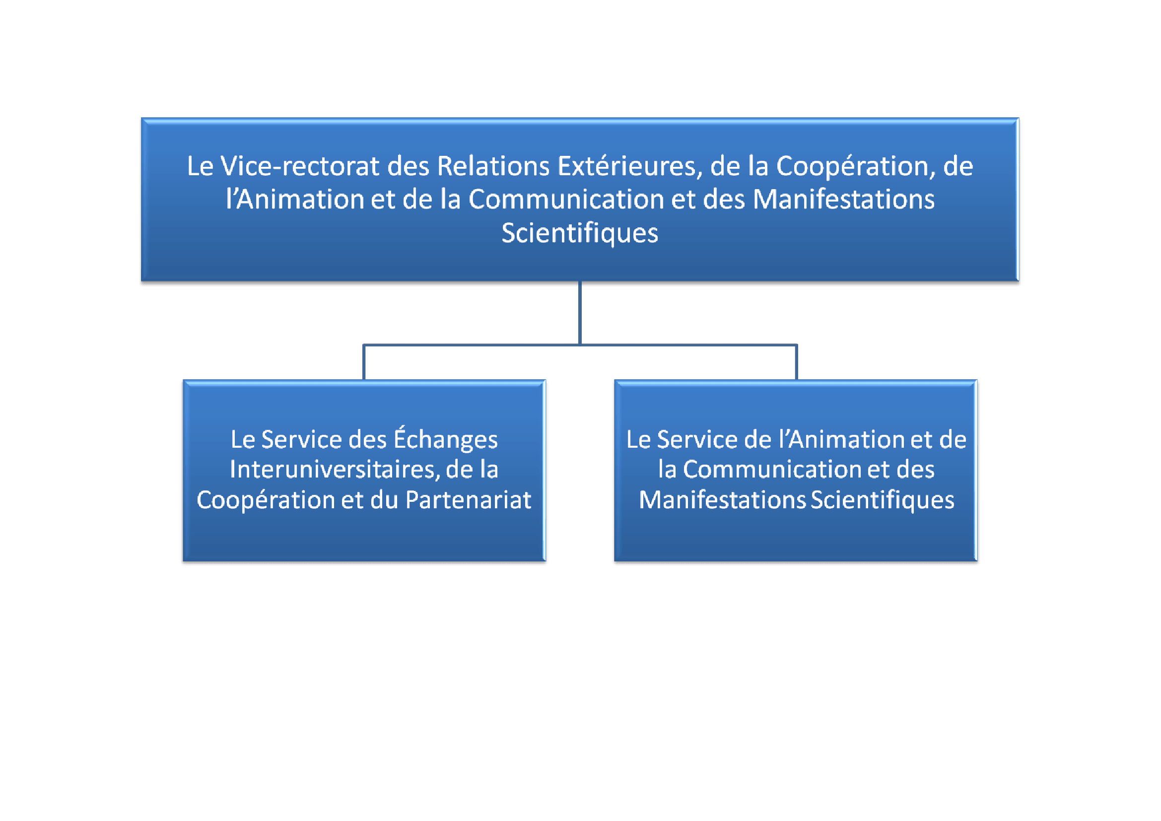 organigramme-Relations-Ex- 1